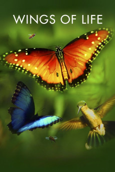 Disneynature: Wings of Life