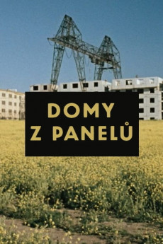 Domy z panelu