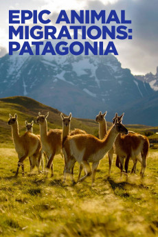 Epic Animal Migrations: Patagonia (2023) - Watch Online in HD