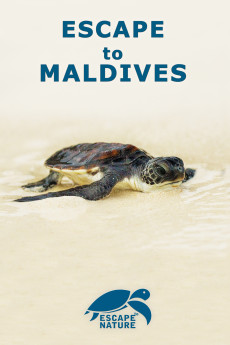 Escape to Maldives (2015)