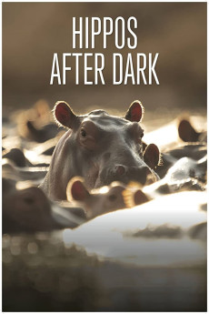 Hippos After Dark