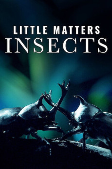 Little Matters: Insects (2014)