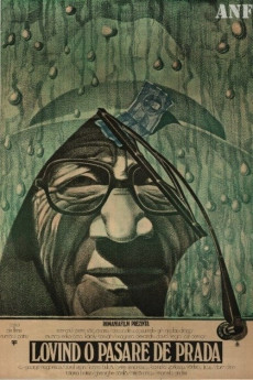 Lovind o pasare de prada