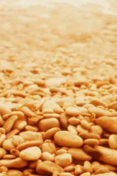 Notes for Jerome (1978) - Watch Online in HD