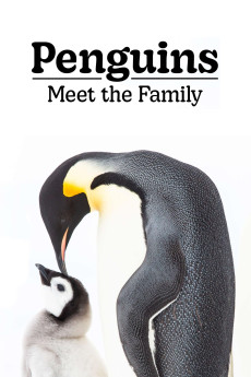 Penguins: Meet the Family (2020) - Watch Online in HD