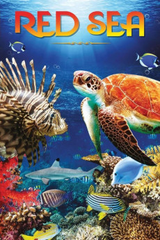 Red Sea 4K (2016)