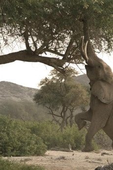 Wild Namibia (2014) - Watch Online in HD