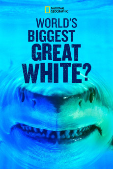 World's Biggest Great White Shark
